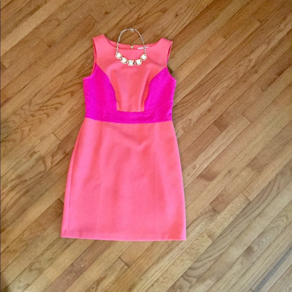LOFT Peach/Pink Dress
